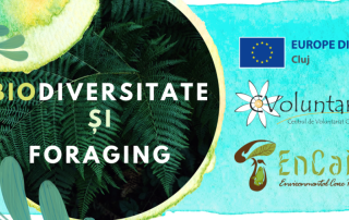 Biodiversitate si Foraging, Anul European al Tineretului 2022